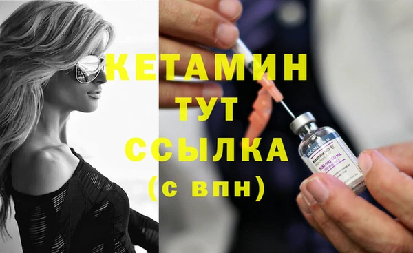 соль ск Новодвинск