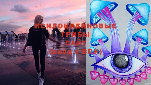 соль ск Новодвинск