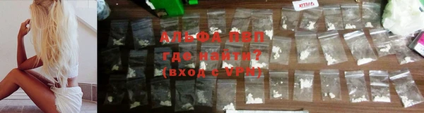 соль ск Новодвинск