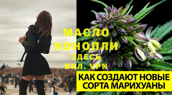 мяу мяу мука Новозыбков