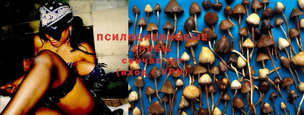 соль ск Новодвинск
