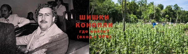 мяу мяу мука Новозыбков