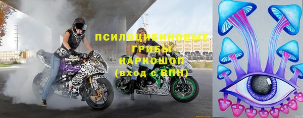 соль ск Новодвинск