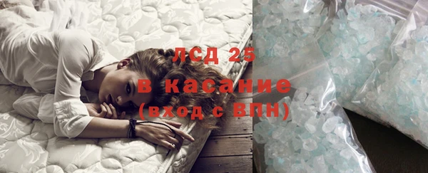 соль ск Новодвинск